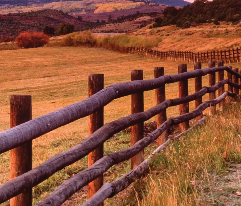 across-the-fence.png